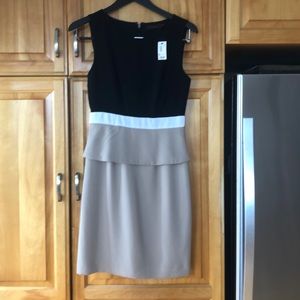 Limited Size 2 Dress